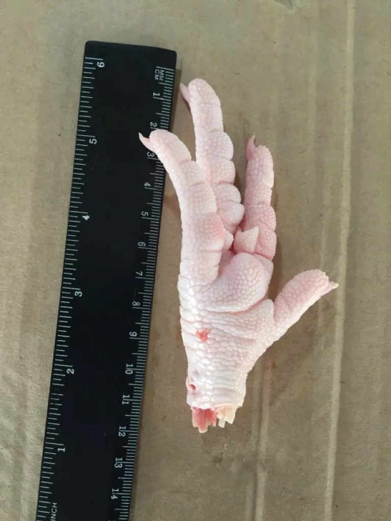 фотография продукта Лапки куриные (Paws, Feet)