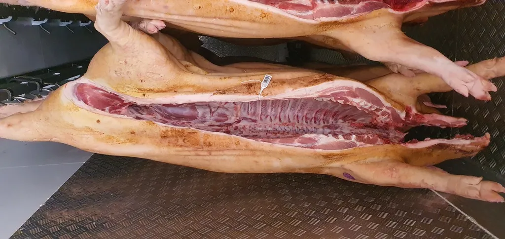 фотография продукта Охл свинина в тушах 2 кат. мясная порода