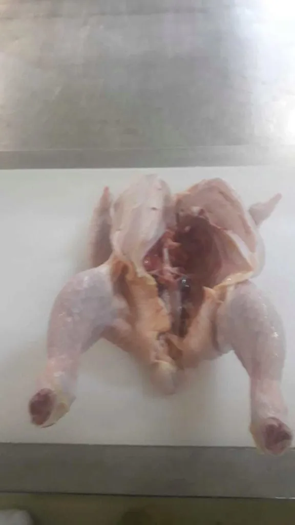 Цыпленок Бройлера,мясо Птицы,тушкаКуриц 
