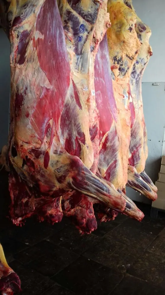 Фотография продукта говядина в полутушах: коровы и быки
