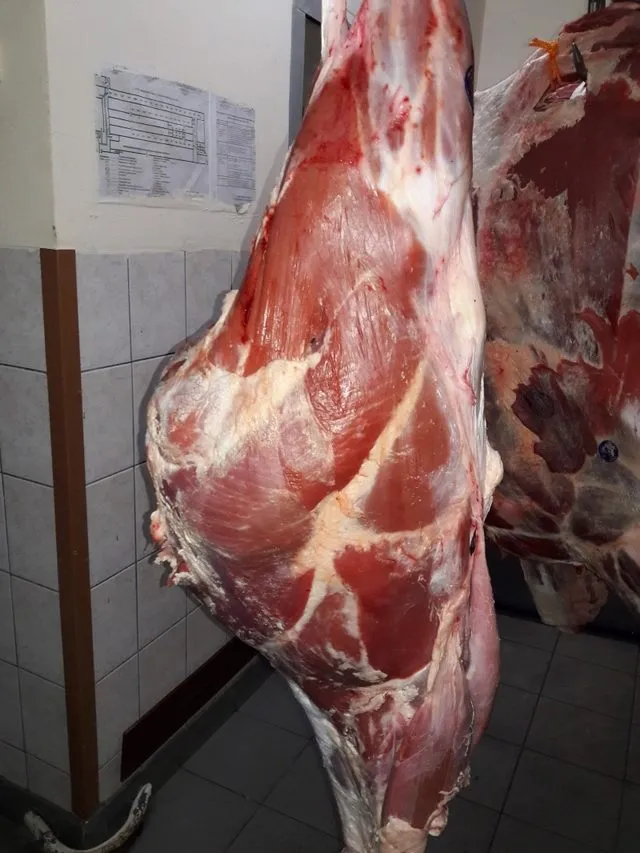 Фотография продукта Мясо быка