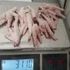 chicken feet /paws grade A B в Республике Беларусь
