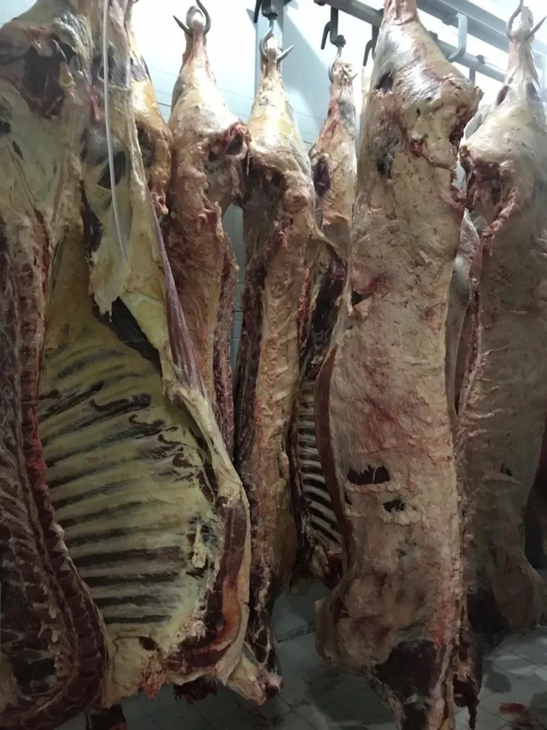 мясо оптом в Казахстане 2