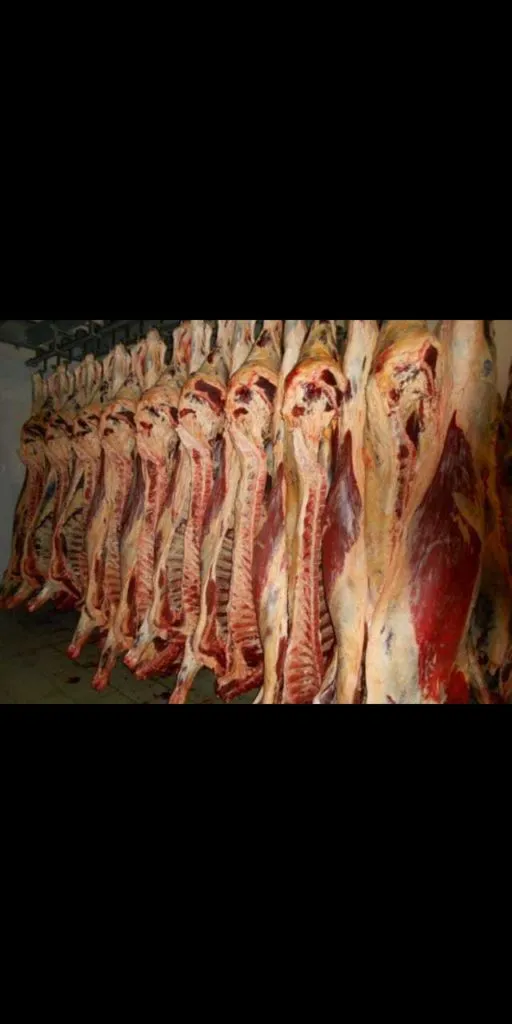 мясо оптом в Казахстане