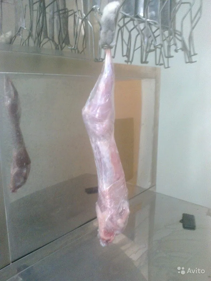 тушка кролика охлажденная 350/кг в Ульяновске