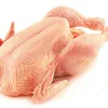 мясо курицы в Казахстане 2