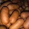 мясные натуральные сардельки оптом в Новосибирске 4