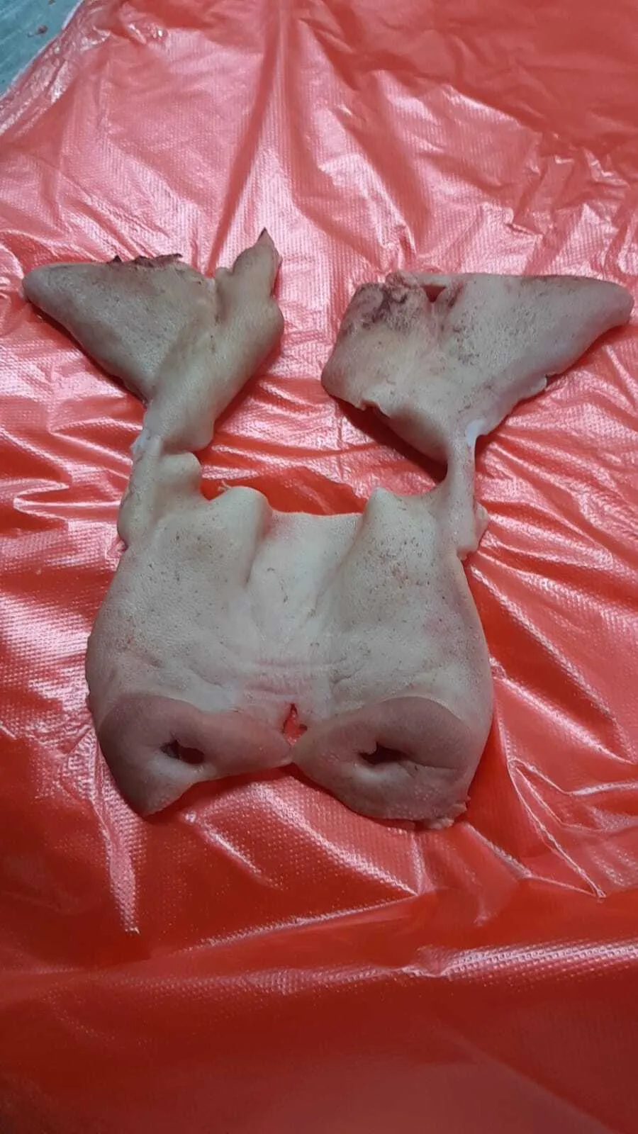 маска свиная в России 4