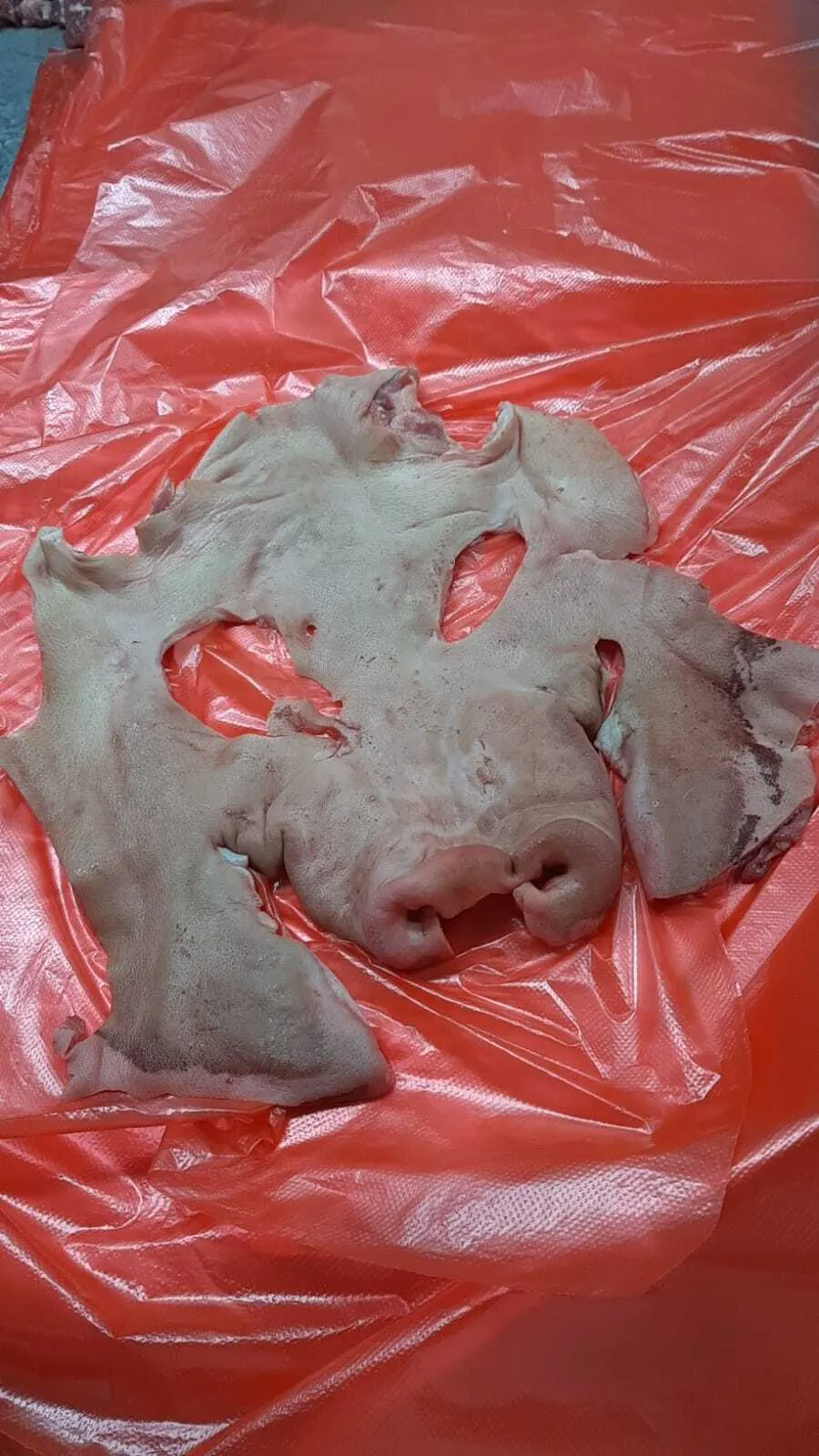 маска свиная в России 2