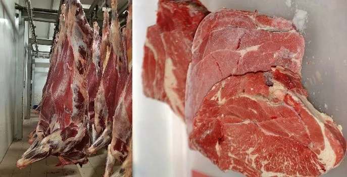 Фотография продукта Мясо говядина от 20 тонн в Таджикистан 