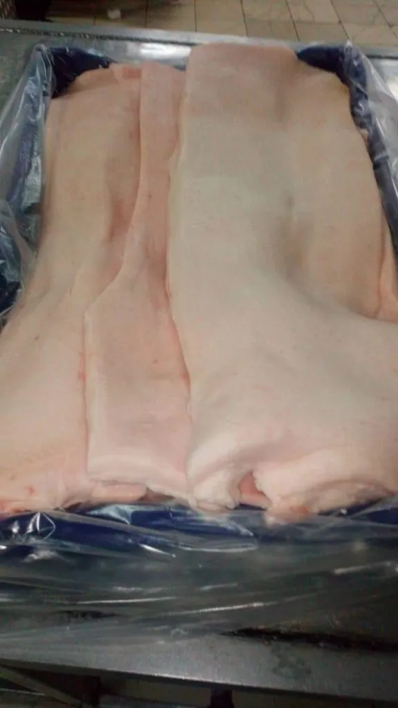 фотография продукта Хребет 88 руб 