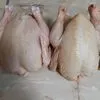 мясо домашней птицы в Республике Беларусь 3