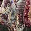 мясо говядина 1й категории! в Казани