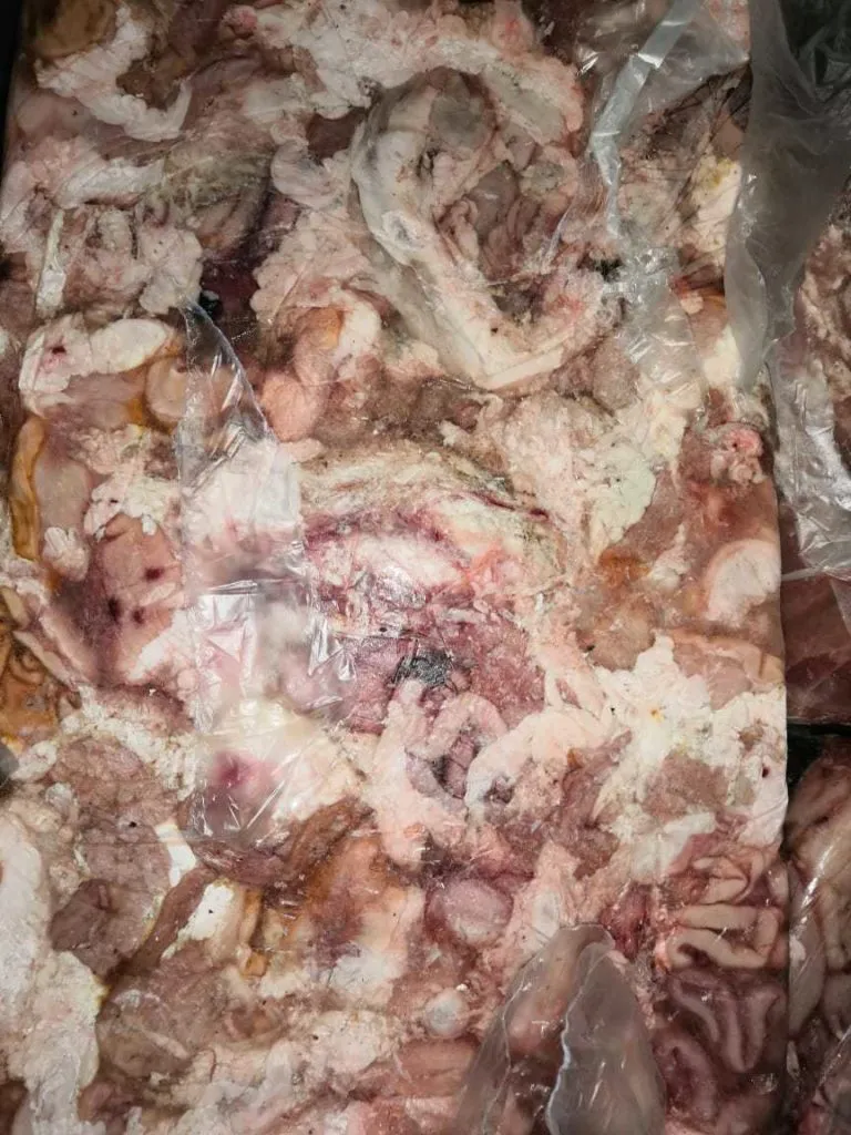 Фотография продукта Кишсырье свиное на корм животным 