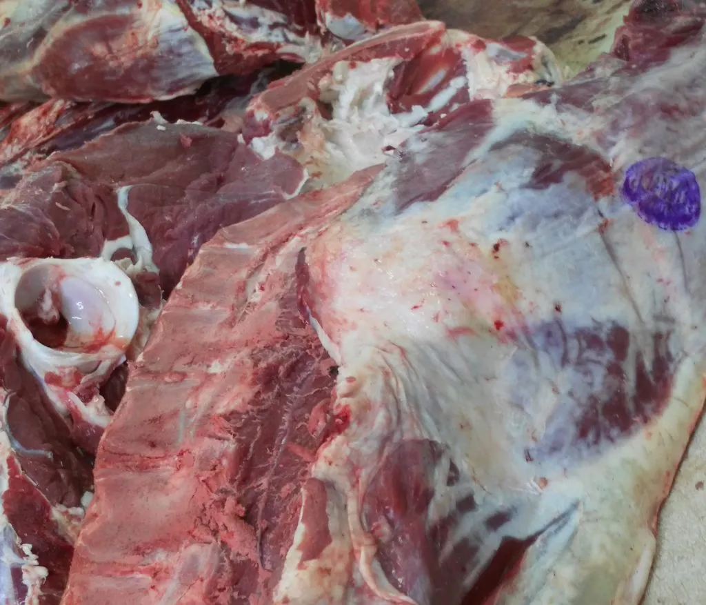фотография продукта Мясо говядины, мясо в тушах и полутушах