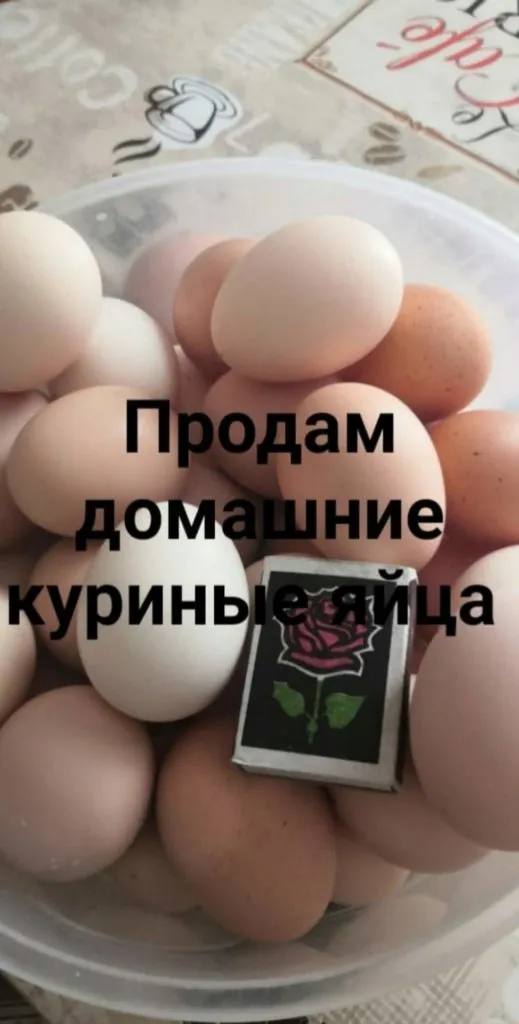фотография продукта Куриные яйца