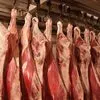 говядина охл халяль в Реутове