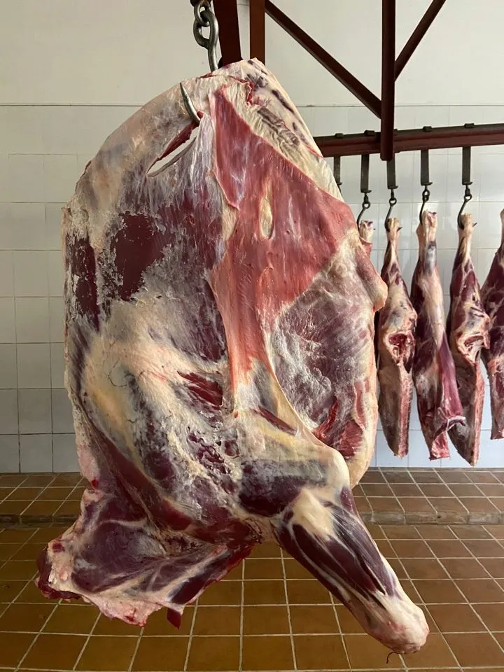 Фотография продукта Мясо молодых бычков