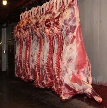 Фотография продукта мясо на кости в п/т, четвертины