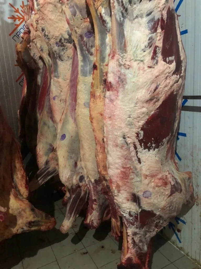 Фотография продукта мясо говядина опт.