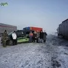 кРС Черно-пестрые на воспроизводство в Новосибирске 6