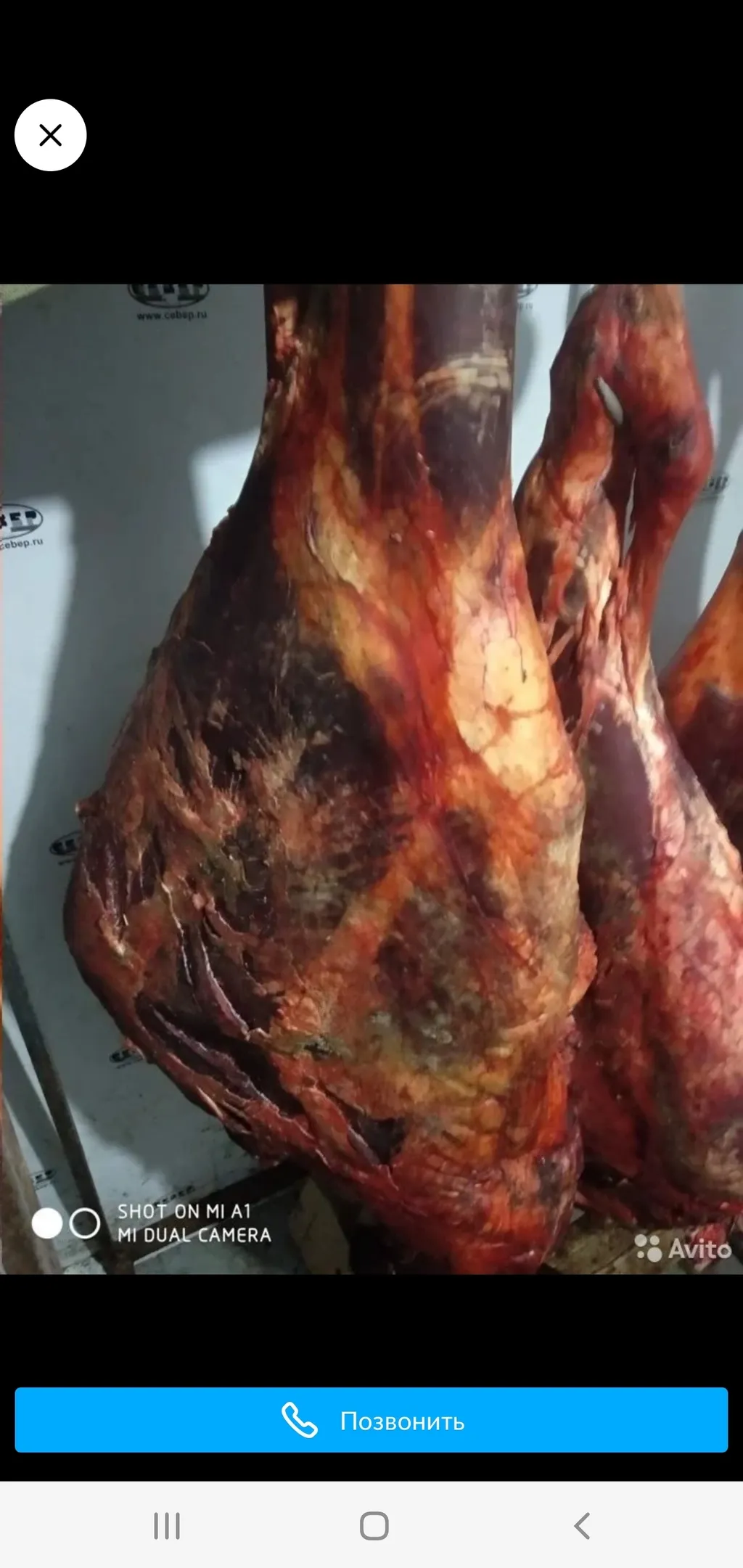вынужденный забой мясо говядина  в Казани