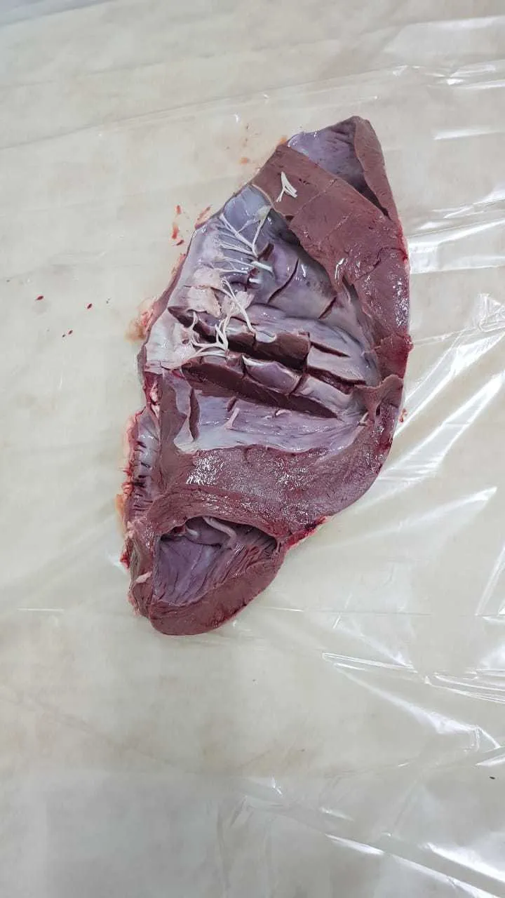 фотография продукта Сердце говяжье