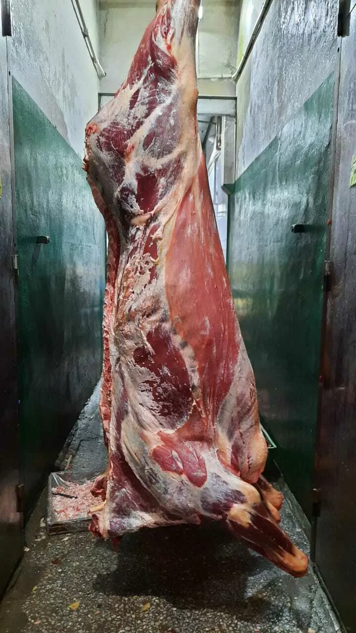 фотография продукта Мясо быков молодняк в п/т охлажденые.