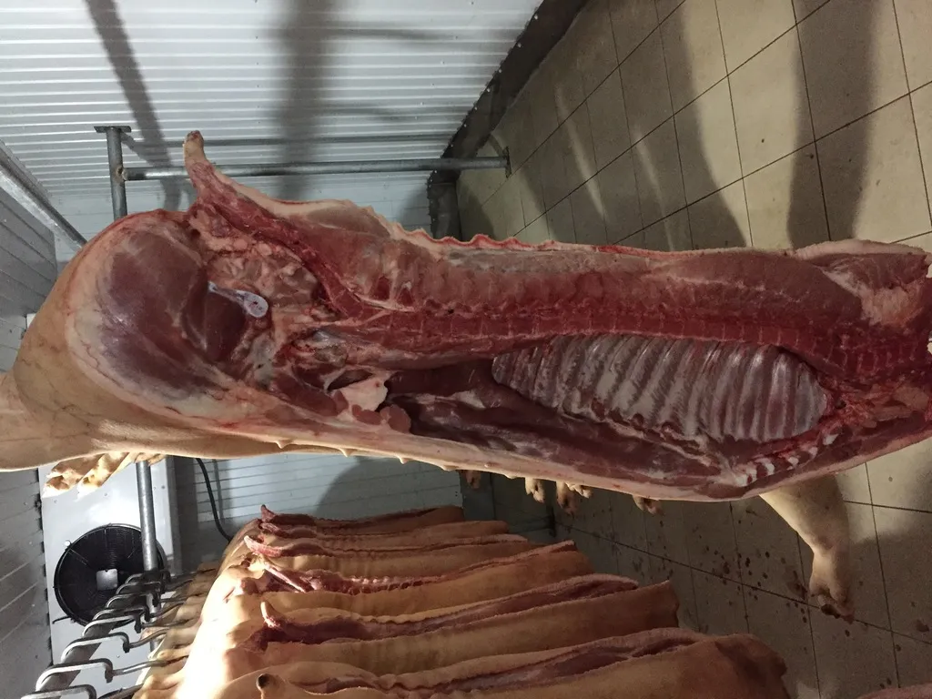 фотография продукта Мясо охлажденное свинина