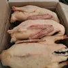 мясо домашней птицы  в России