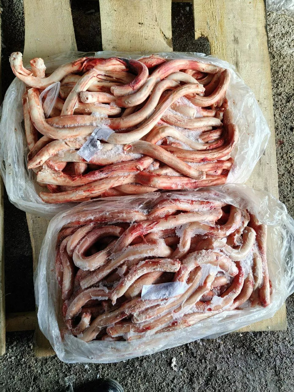 фотография продукта Субпродукты говяжьи