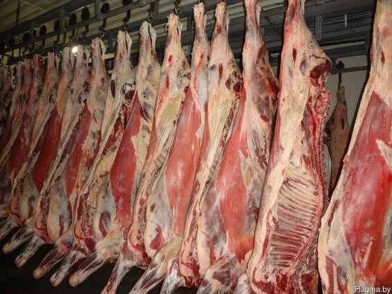 мясо говядины в Республике Беларусь