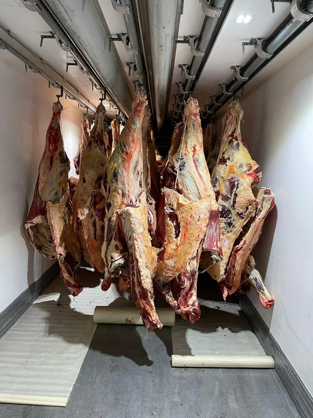 мясо говядины оптом в Казахстане 2