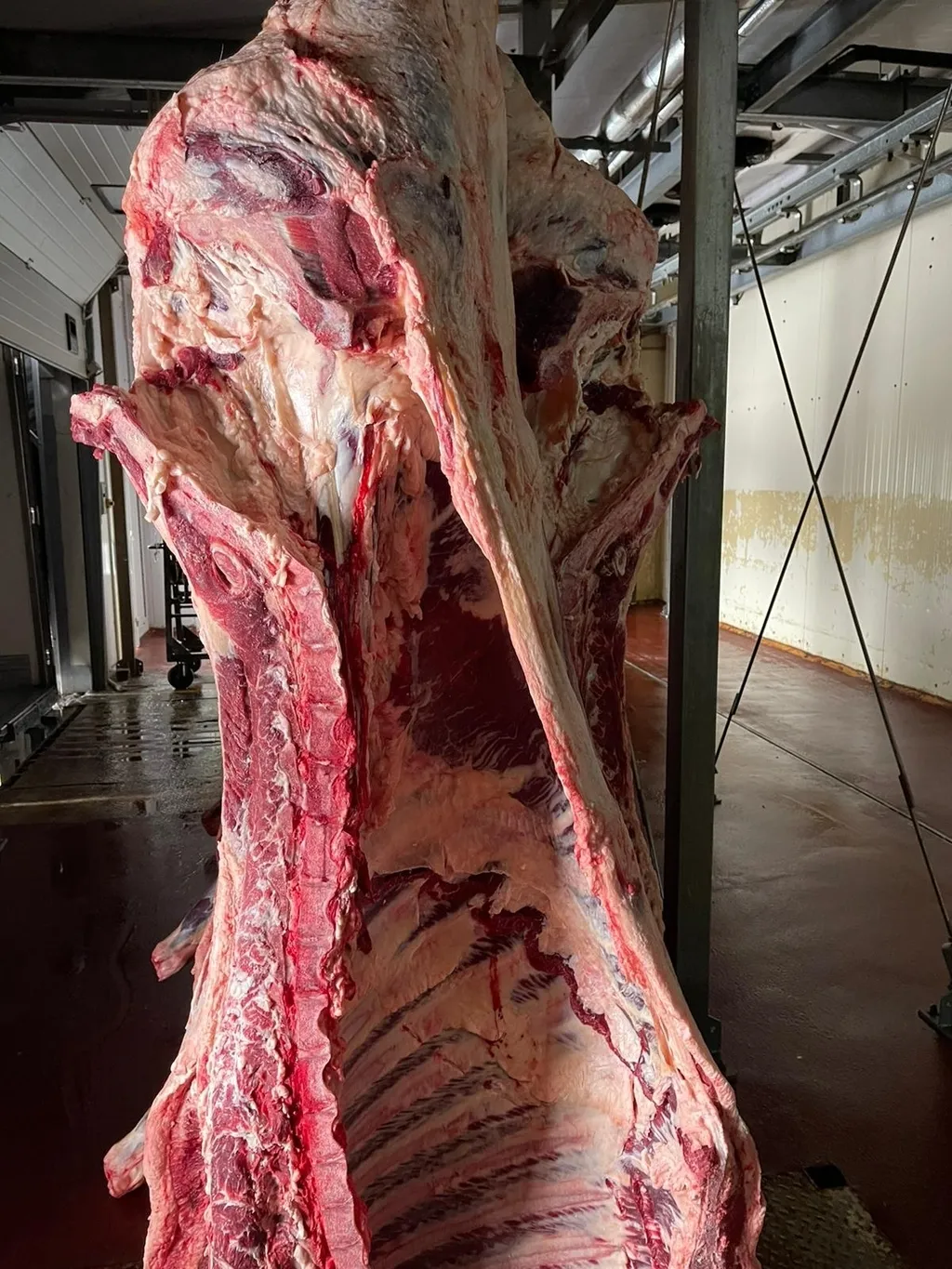 мясо говядины оптом в Казахстане