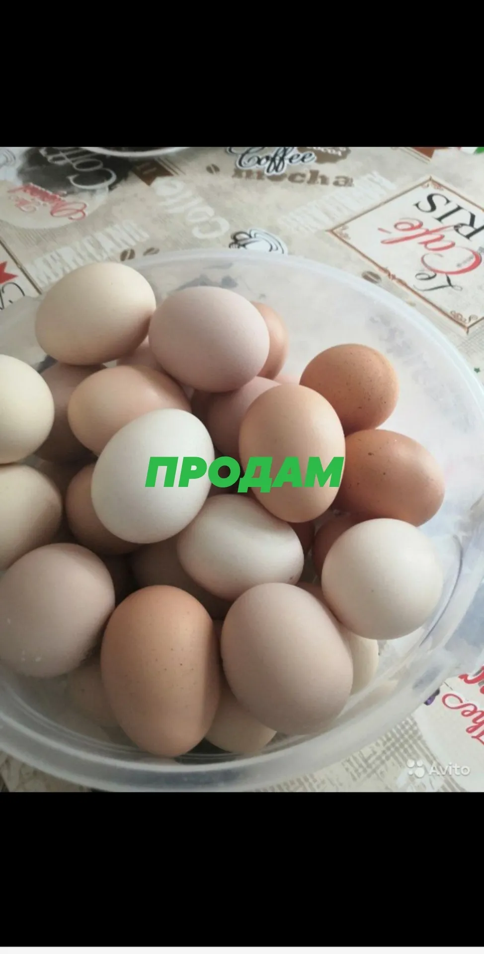 фотография продукта Яйца
