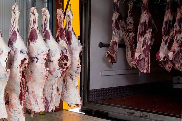 перевозка Охлажденного Мяса На Крюках  в Республике Беларусь