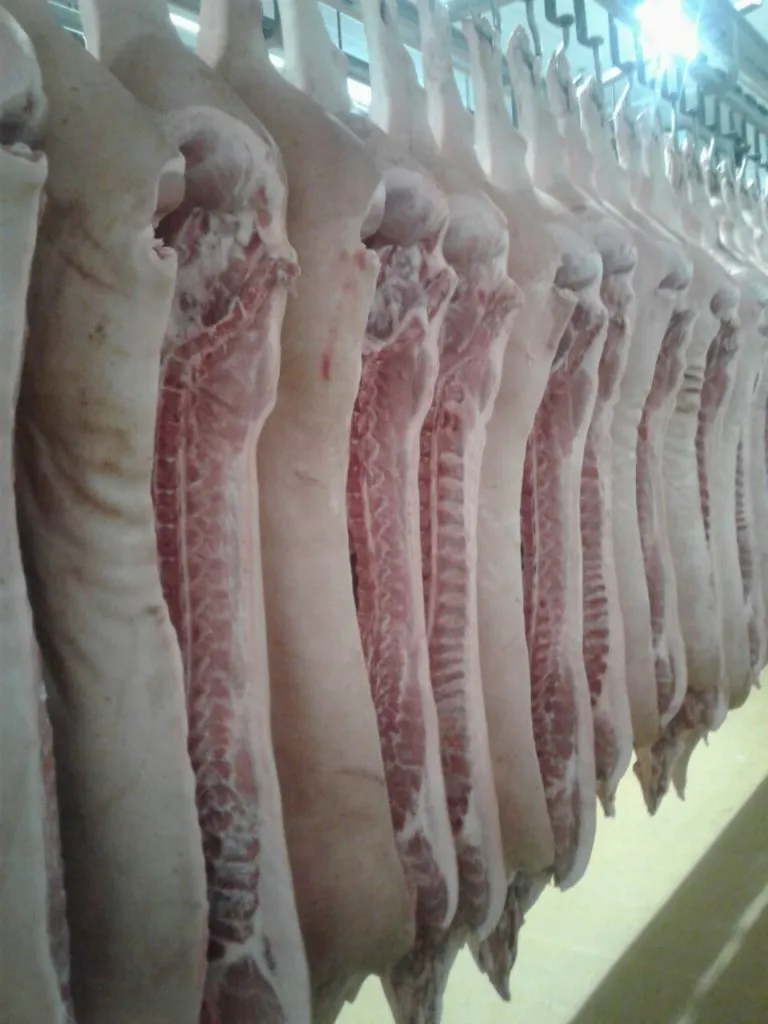 фотография продукта Мясо свинины в полутушах охлажденное 