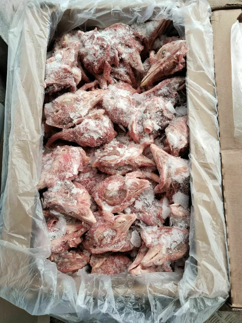 Фотография продукта Головы индейки
