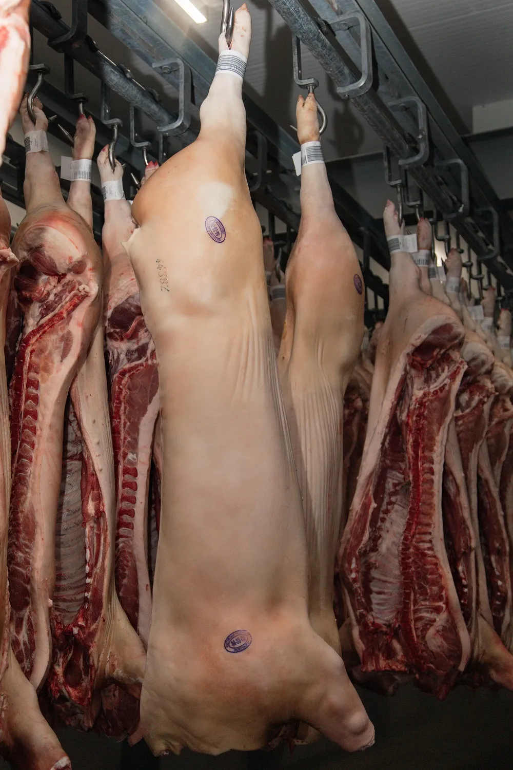 Мясо свинины в полутушах 2 кат охл/зам
