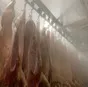 свинина в полутушах в Новосибирске