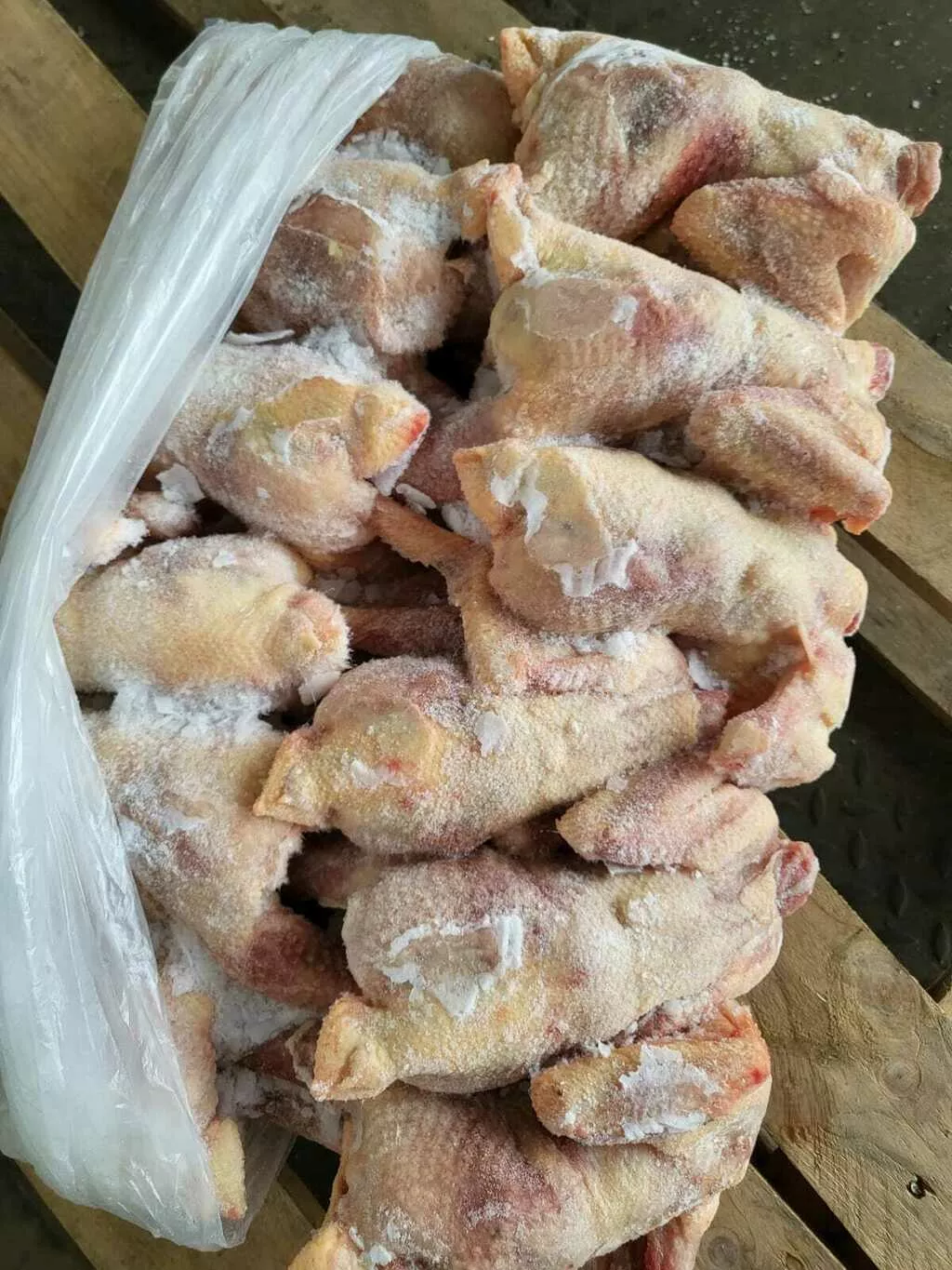курица суповая  в Домодедово
