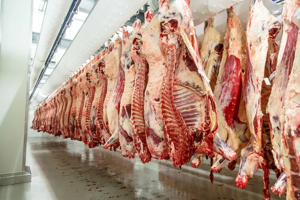 Фотография продукта Продаем мясо говядины  из РБ