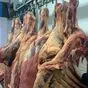мясо говядины 1 категории быки и телки в Казахстане