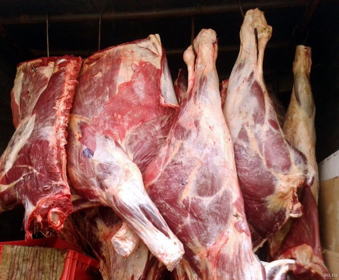 фотография продукта Продаю говядину из Бурятии от 10 тонн.