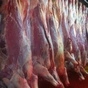 мясо оптом говядина в КИТАЙ в Казахстане 2