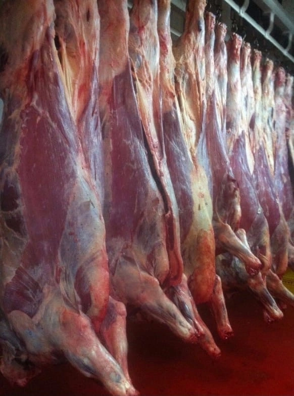 фотография продукта Мясо оптом говядина в КИТАЙ