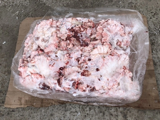 Фотография продукта Свиной кишечные жиры