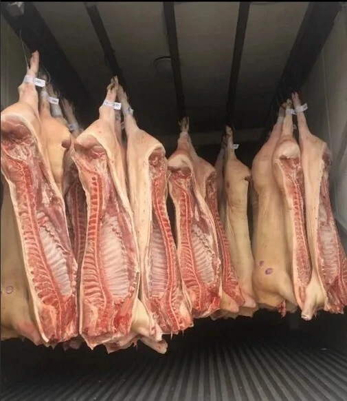 фотография продукта Мясо свинина