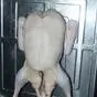 мясо утки в Республике Беларусь 3