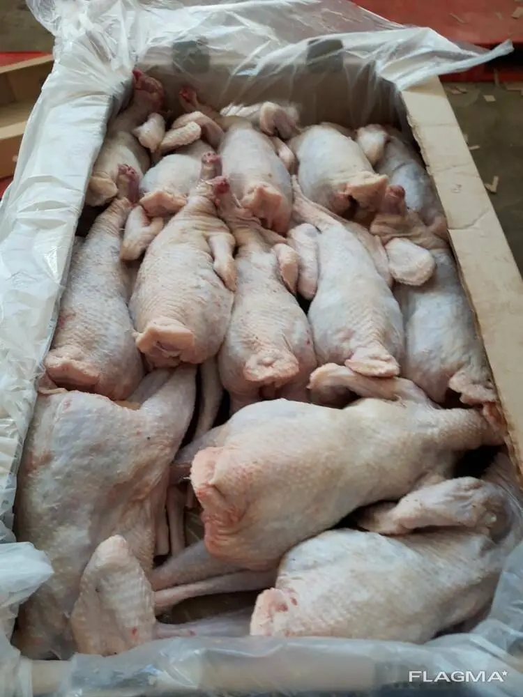 мясо курицы несушки в Республике Беларусь 2